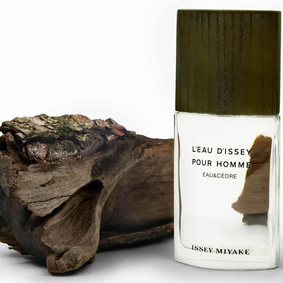 ISSEY MIYAKE CEDRO